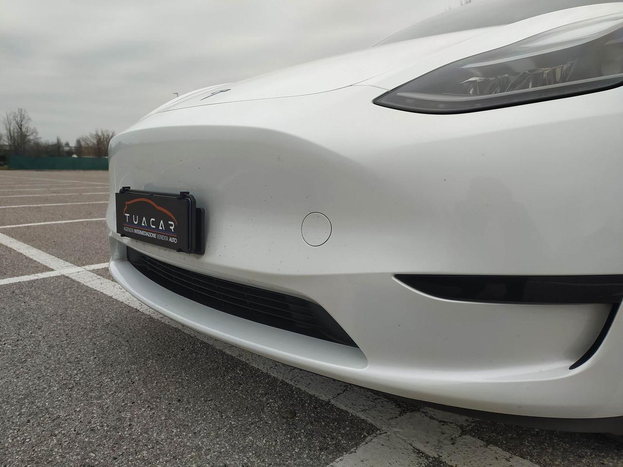 Tesla Model Y Standard Range / Standard #9113