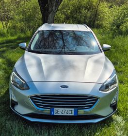 Ford Focus 1.5 EcoBlue 120 CV automatico SW Business 2021