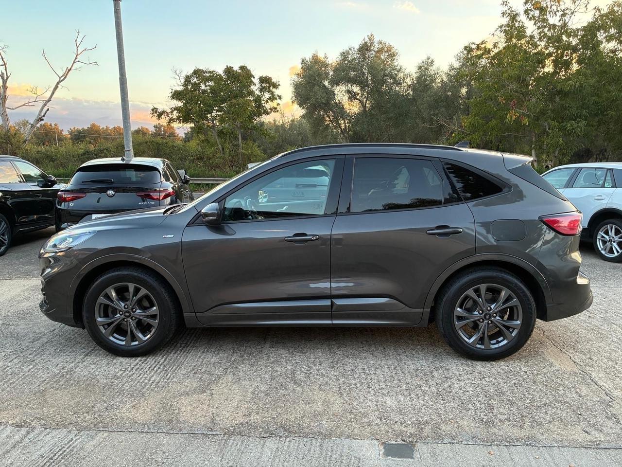 Ford Kuga 1.5 EcoBlue 120 CV 2WD ST-Line X