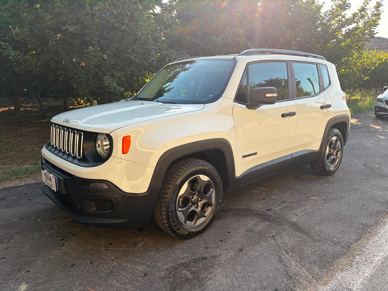 Jeep Renegade 1.6 Mjt 120cv Sport