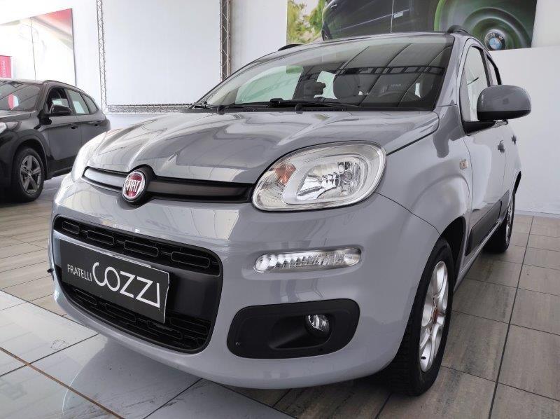 FIAT Panda 3ª serie - Panda 1.2 Lounge