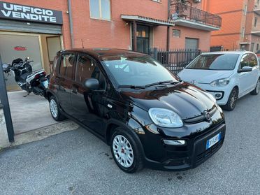 Fiat Panda 1.0 FireFly S&S Hybrid Pandina