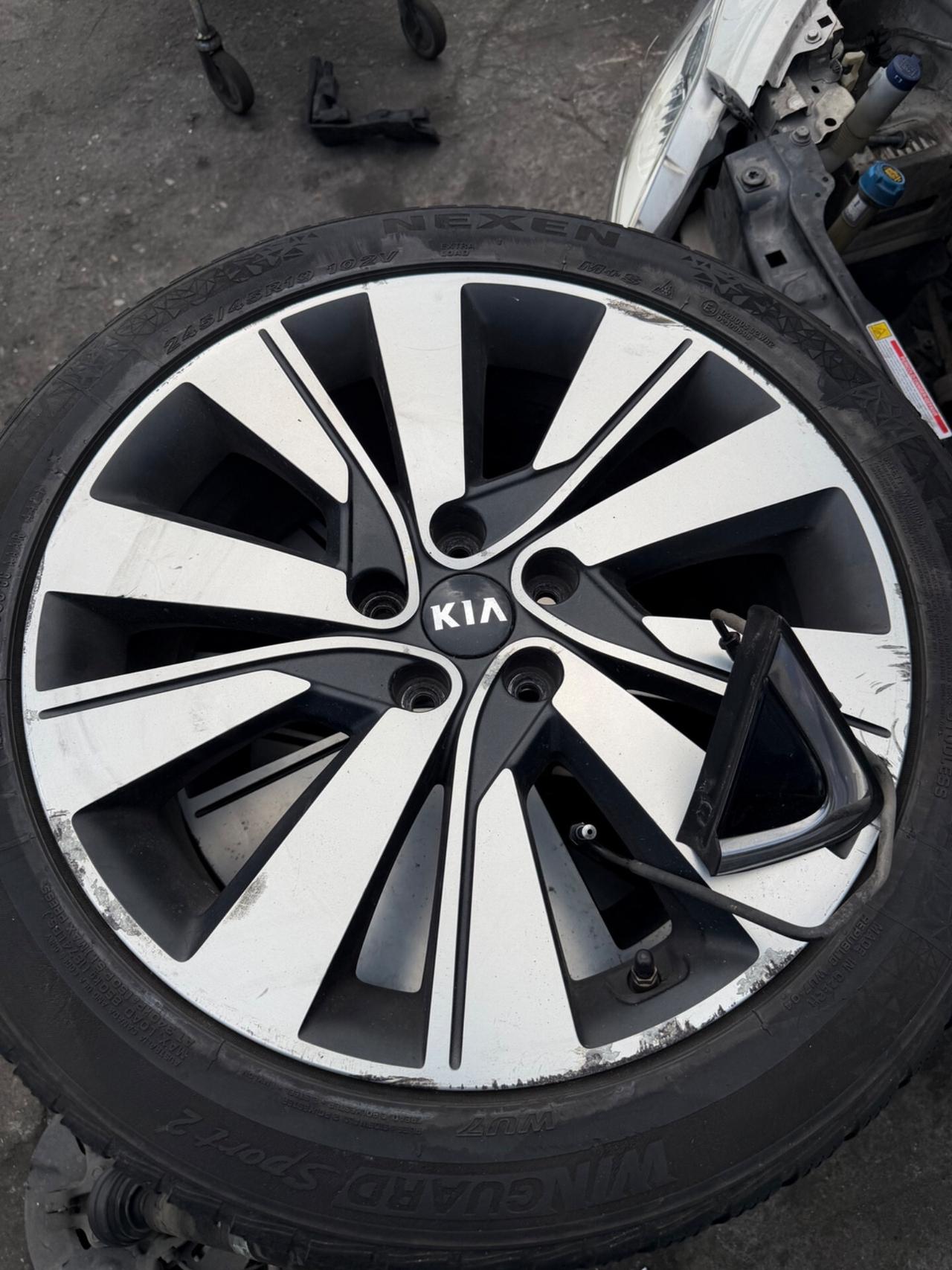 Kia Sportage 1.6 CRDI 136 CV DCT7 2WD Mild Hybrid Business Class