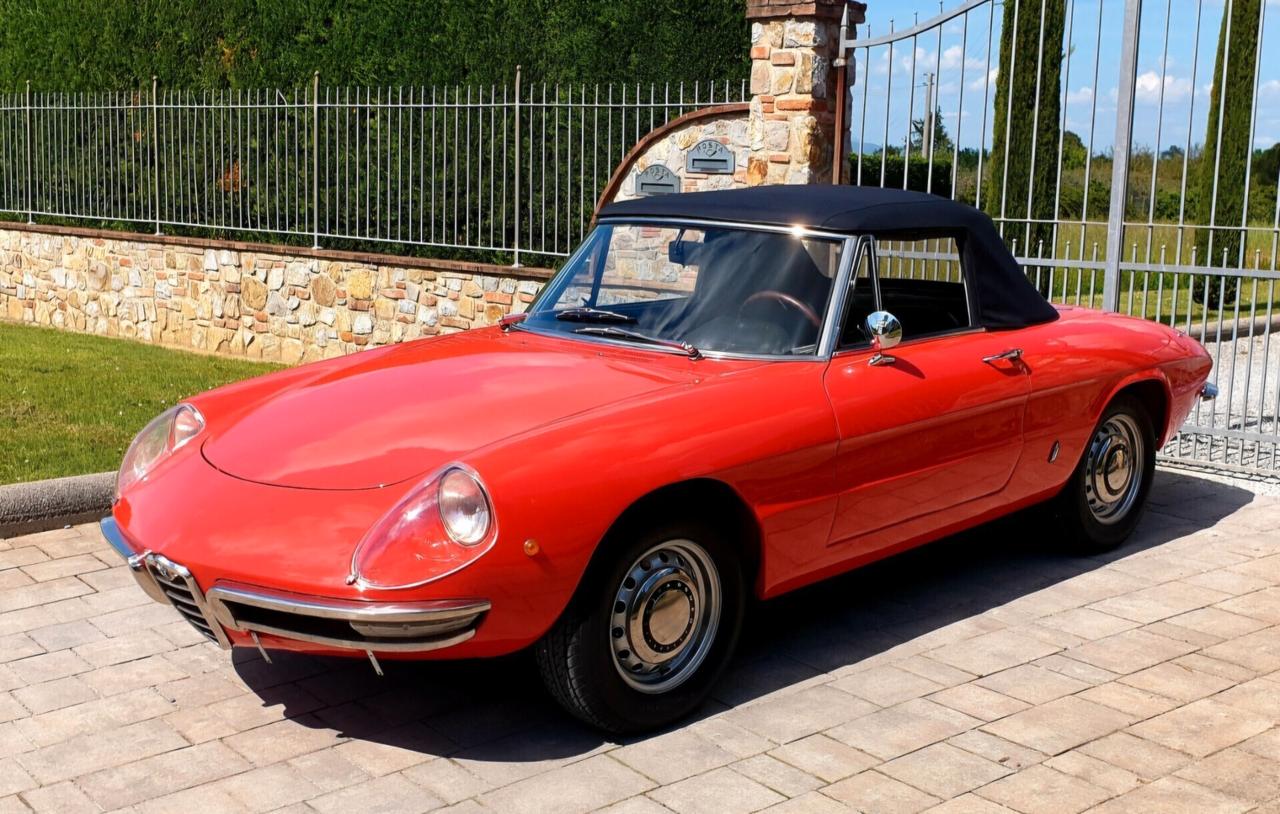 Alfa Romeo Spider Duetto osso di seppia 1750