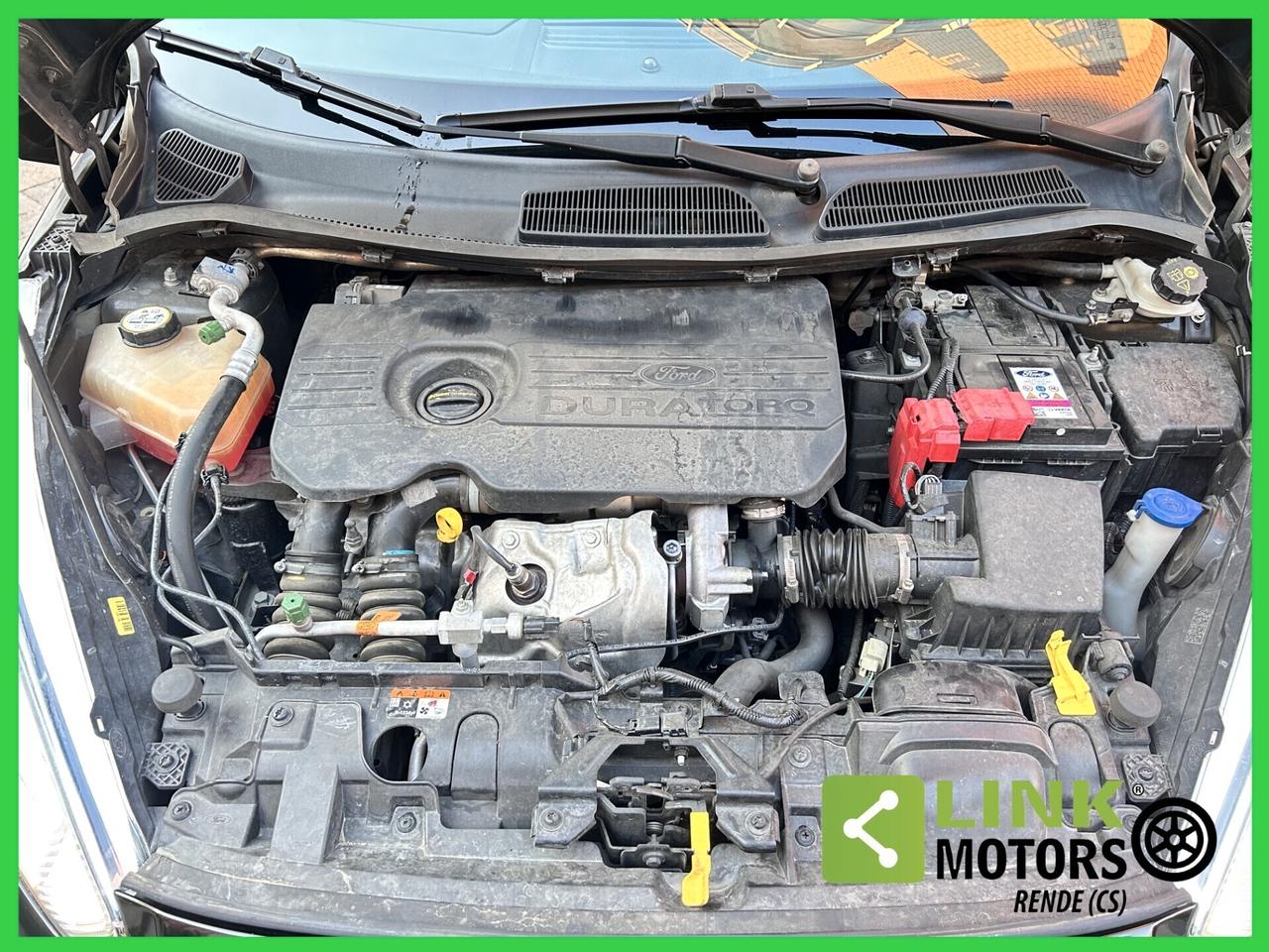 Ford Fiesta 1.5 TDCi 75CV 5 porte ST-Line 01/2017