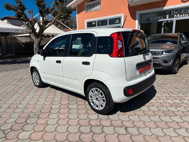 Fiat Panda 1.2 BenzGPL 70CV EasyPower - 2020