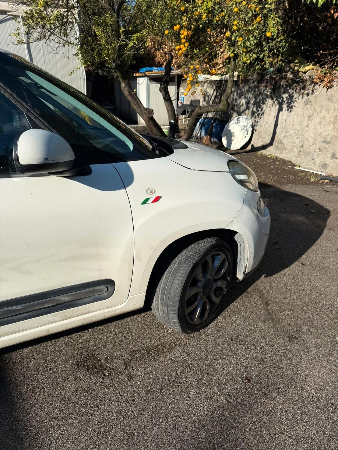 Fiat 500L 900 Metano 85cv (Problemi al motore)