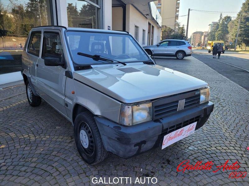 FIAT Panda 1100 i.e. cat College