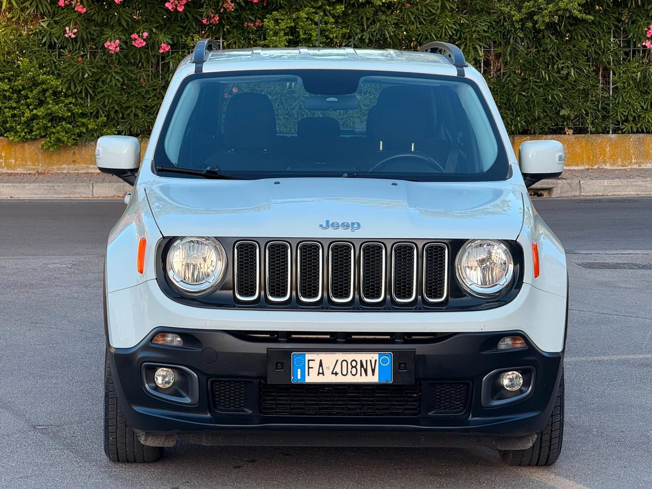 Jeep Renegade GARANZIA 12 MESI