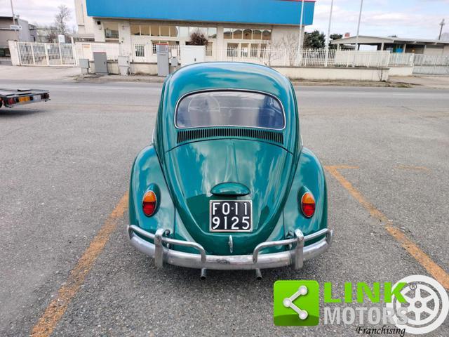 VOLKSWAGEN Maggiolino 6 VOLT