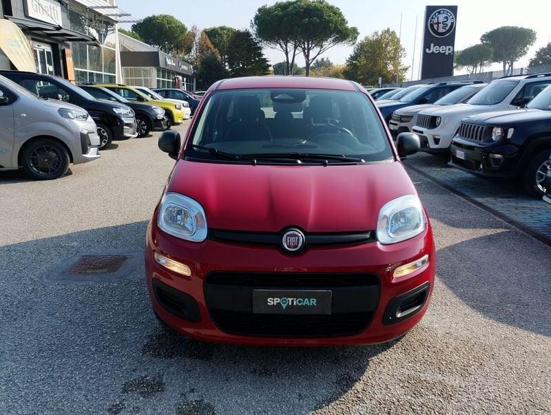 FIAT Pandina Pandina 1.0 firefly hybrid Icon s&s 65cv