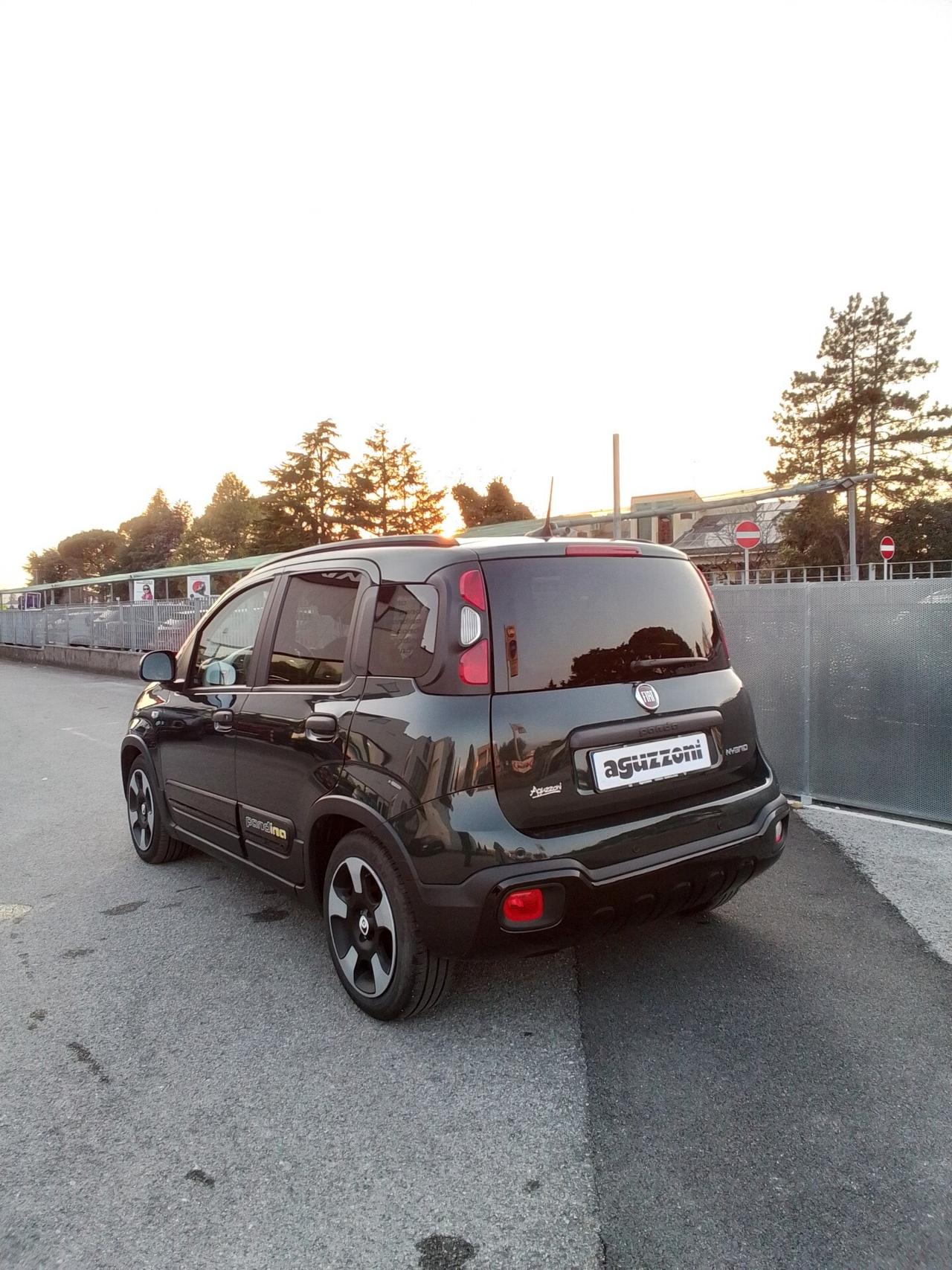 Fiat Panda 1.0 FireFly S&S Hybrid Pandina