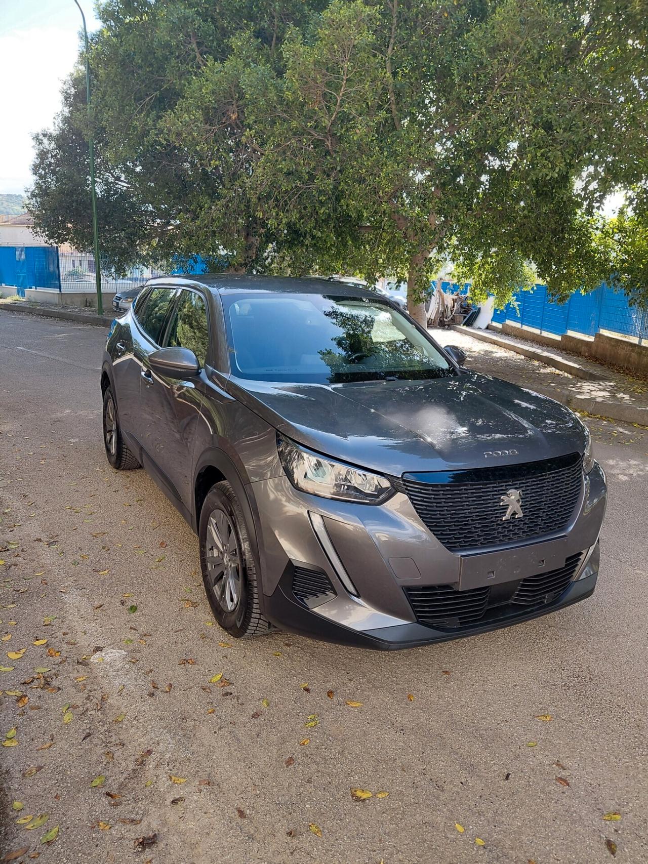 Peugeot 2008 BlueHDi 110 S&S Active Pack