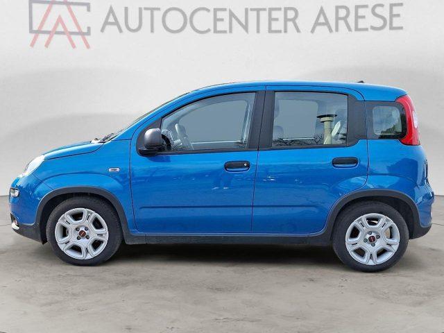 FIAT Panda 1.0 FireFly S&S Hybrid MY24