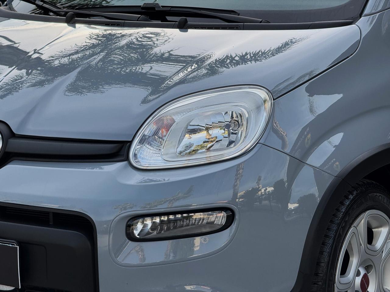 Fiat Panda 1.0 Firefly Hybrid City Life S 70CV IVA ESP