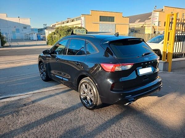 FORD KUGA 1.5 Eco BLUE 120 CV ST LINE AUTOMATICO