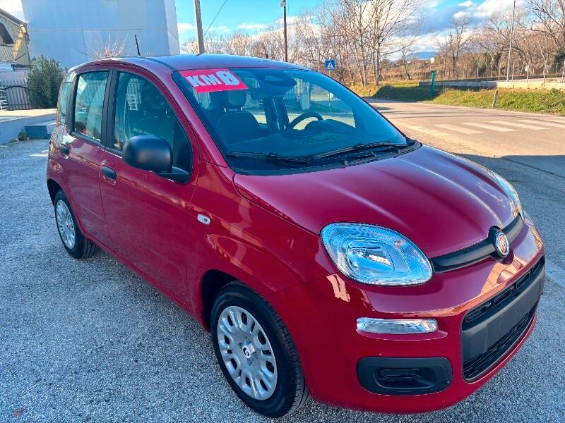 FIAT Panda 3ª serie Panda 1.0 FireFly S&S Hybrid