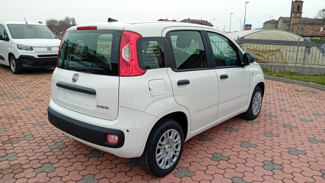 Fiat Panda Pandina 1.0 FireFly 65 CV Hybrid Icon *SENZA VINCOLI DI FINANZIAMENTO*