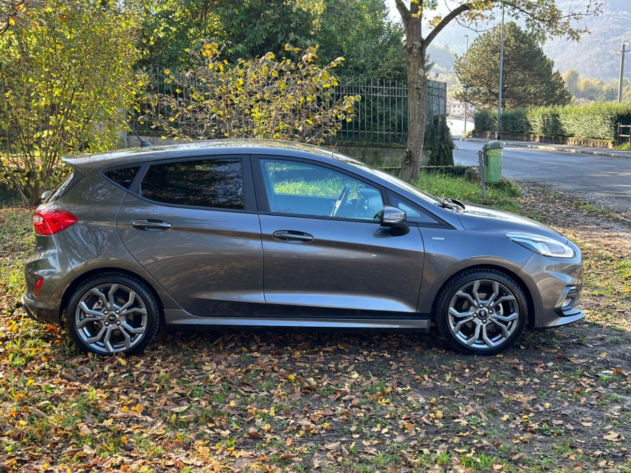 Ford Fiesta 1.5 EcoBlue 5 porte Vignale