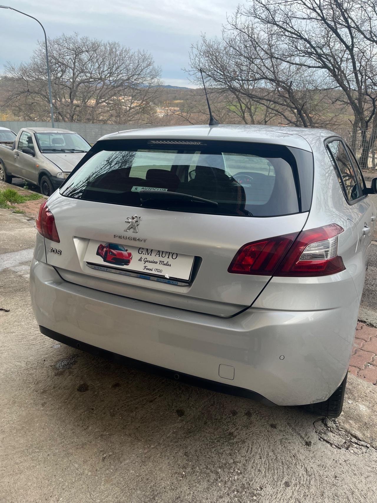 Peugeot 308 1.6 HDi 92 CV Business