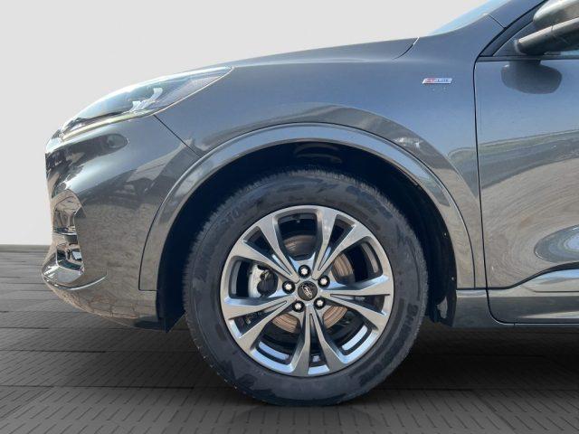 FORD Kuga Kuga 1.5 EcoBlue 120 CV 2WD ST-Line