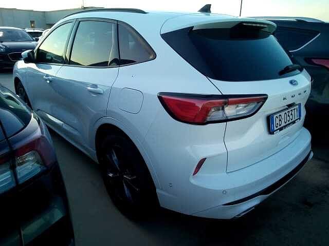 Ford Kuga 1.5 EcoBlue 120 CV 2WD ST-Line