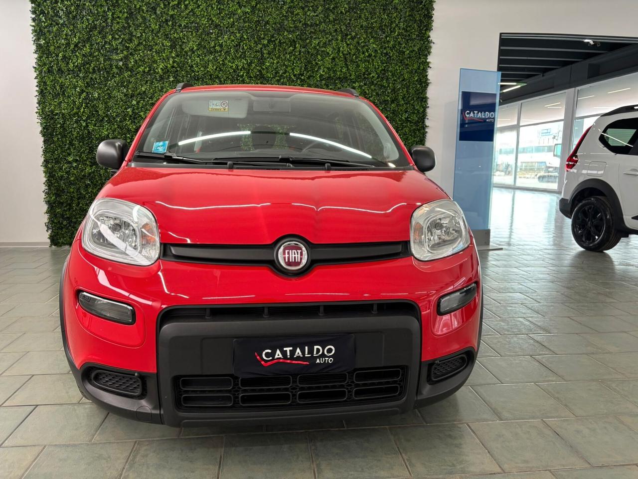 Fiat Panda 1.0 FireFly S&S Hybrid Red