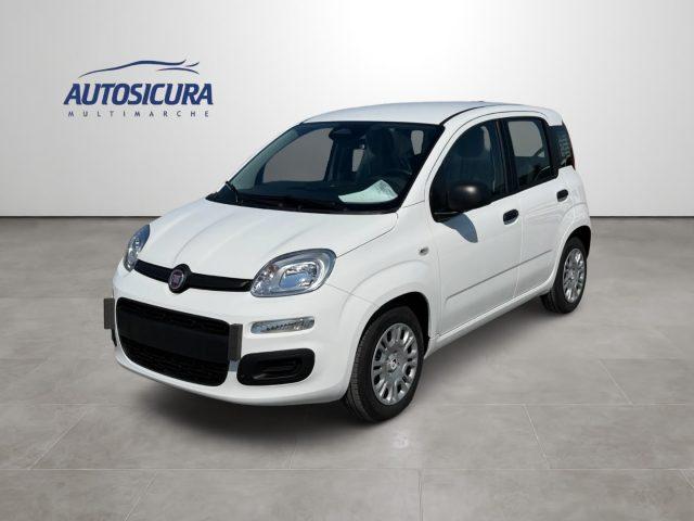 FIAT Pandina 1.0 FireFly 65 CV Hybrid Icon