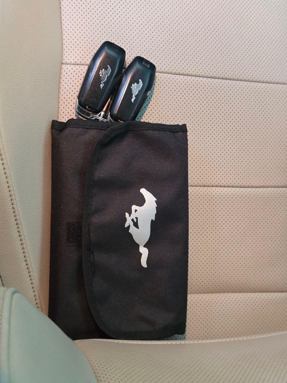 Ford Mustang 2.3 EcoBoost *MANUALE