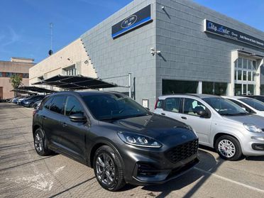 FORD Kuga 2.0 EcoBlue 120 CV aut. ST-Line