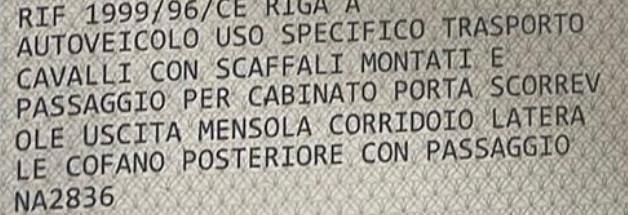 Iveco Daily 50 C11 trasporto per 3 cavalli patente B