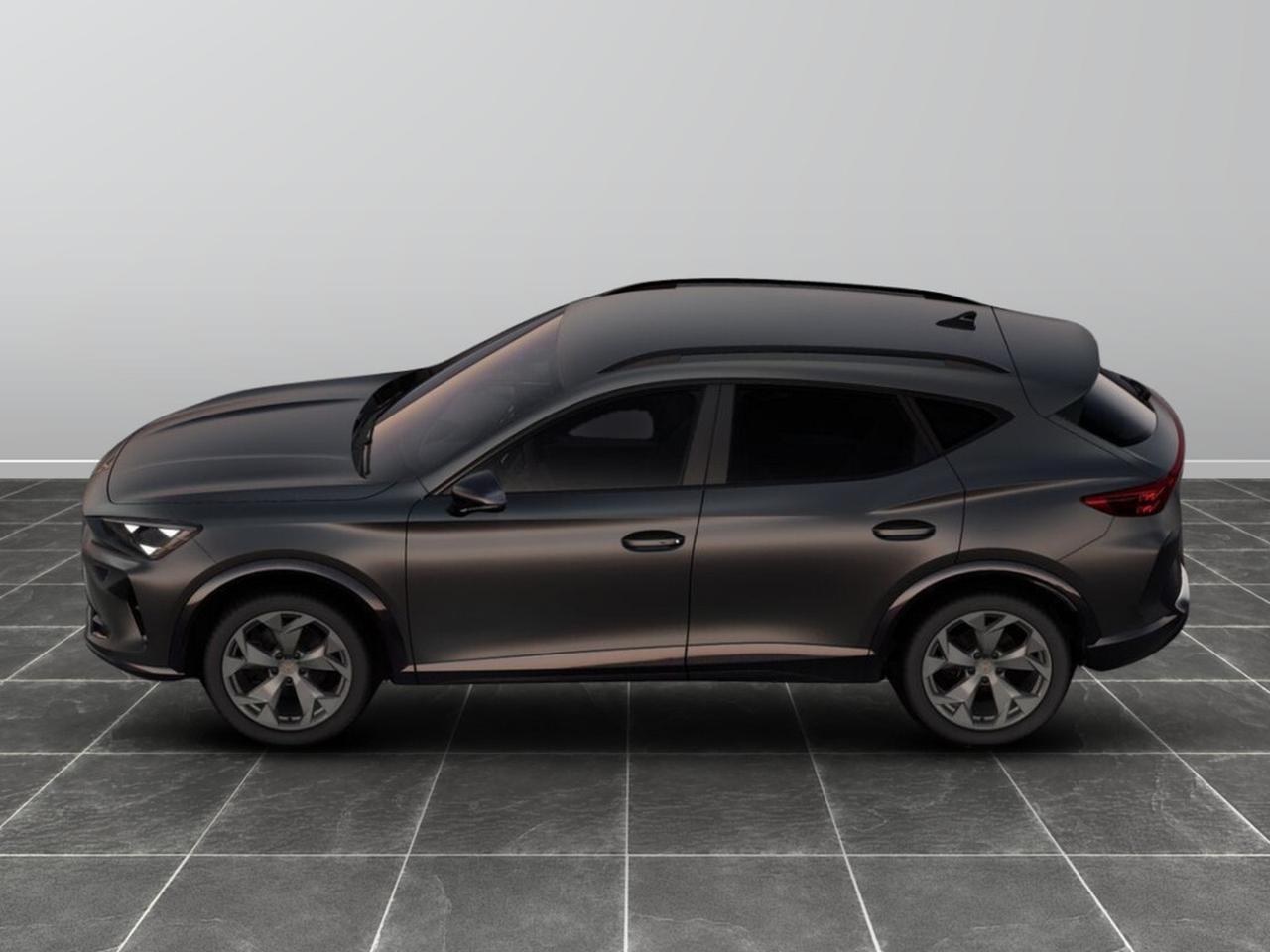 Cupra Formentor 2.0 tdi 150cv dsg