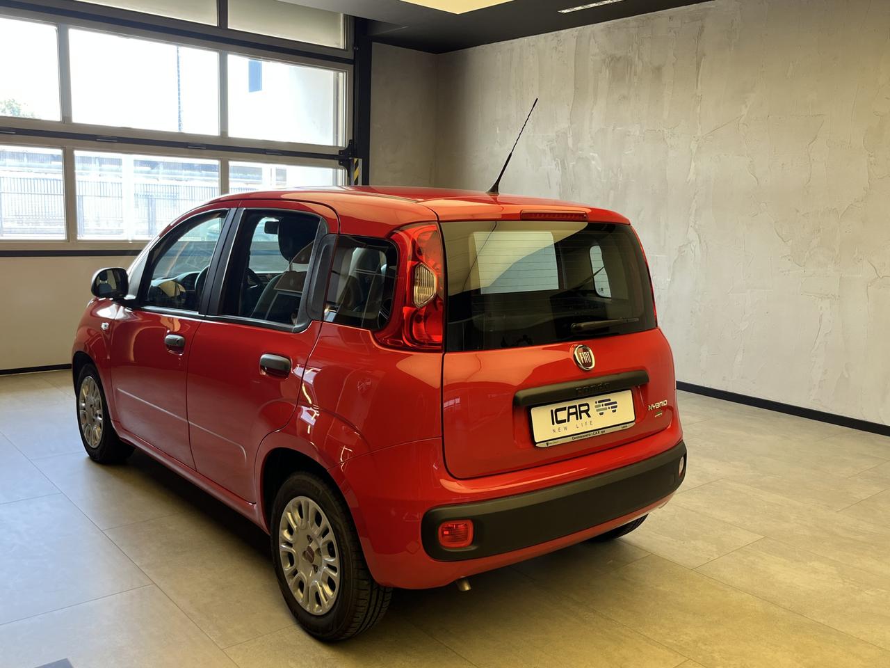 FIAT Panda III 2021 - Panda 1.0 firefly hybrid s&s 70cv
