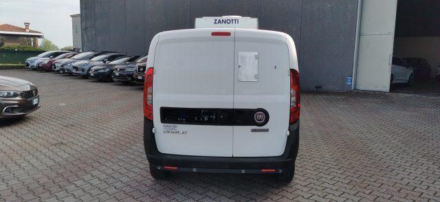 FIAT Doblo Doblò 1.3 MJT PN-TN Cargo - MODULO FRIGORIFERO