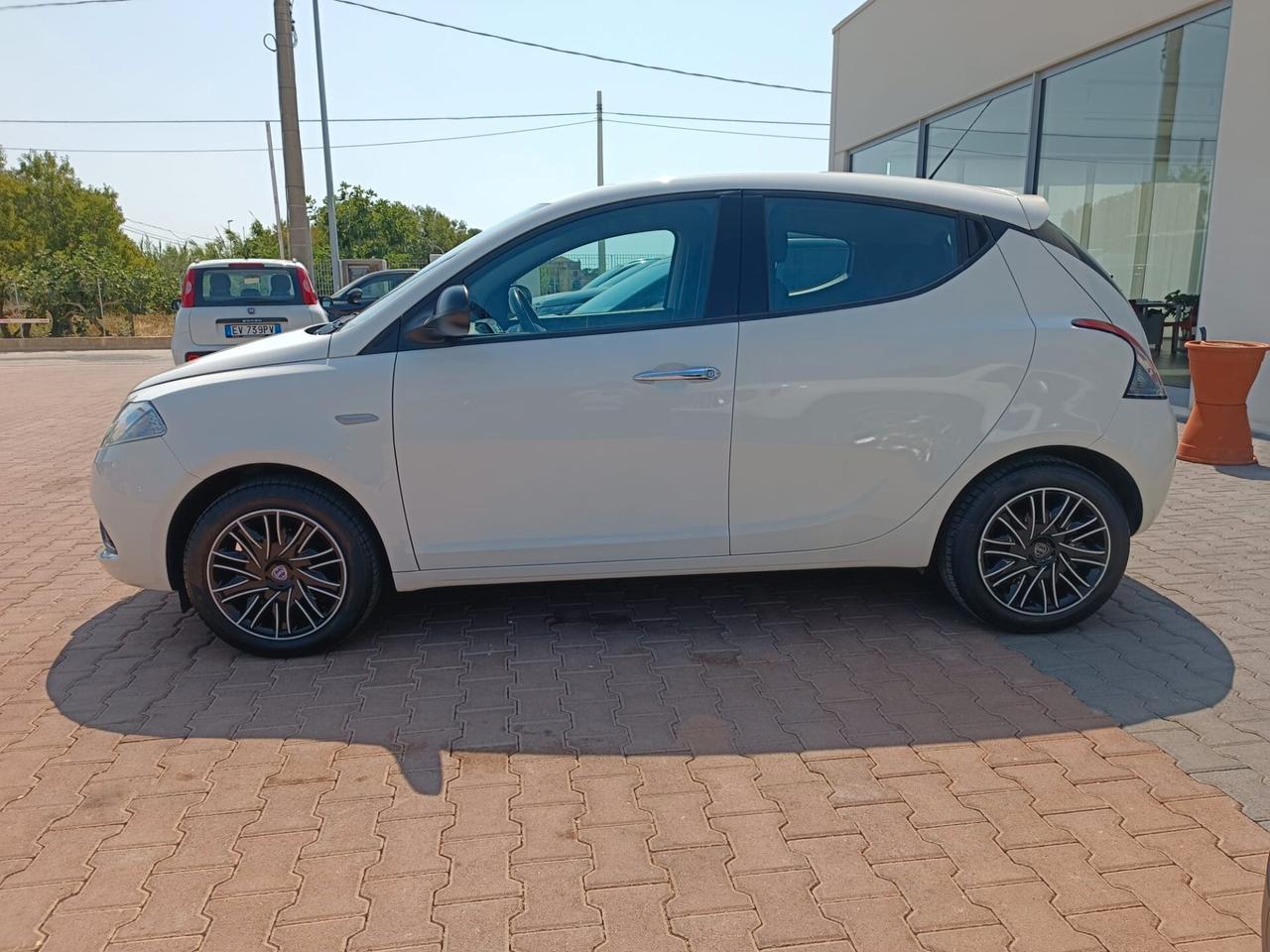 Lancia Ypsilon 1.2 69 CV 5 porte Gold