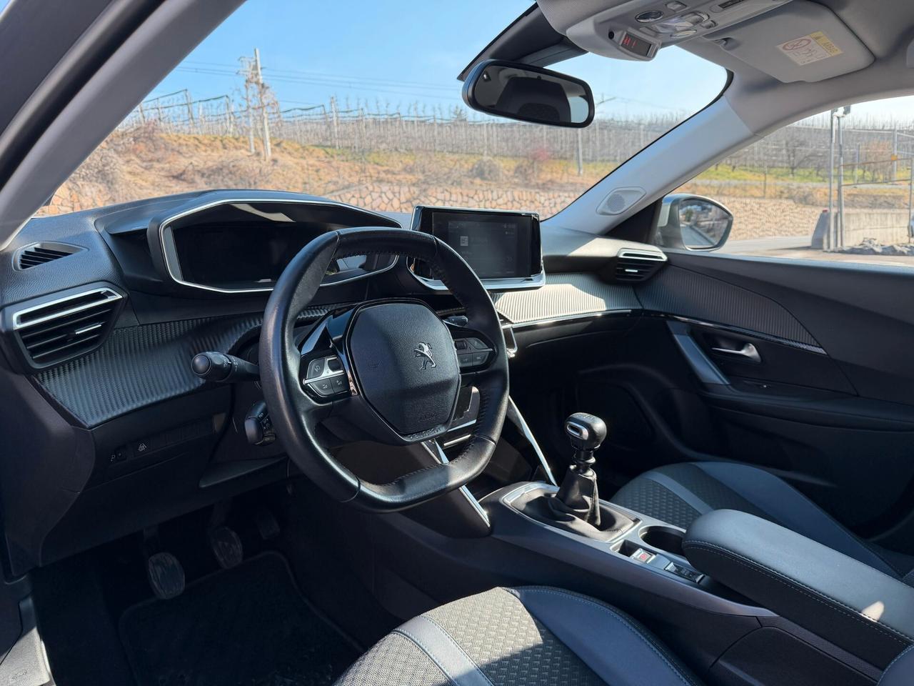 Peugeot 2008 PureTech 100 S&S Active
