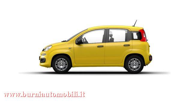 FIAT Panda 1.0 FireFly S&S Hybrid PROMO ROTTAMAZIONE