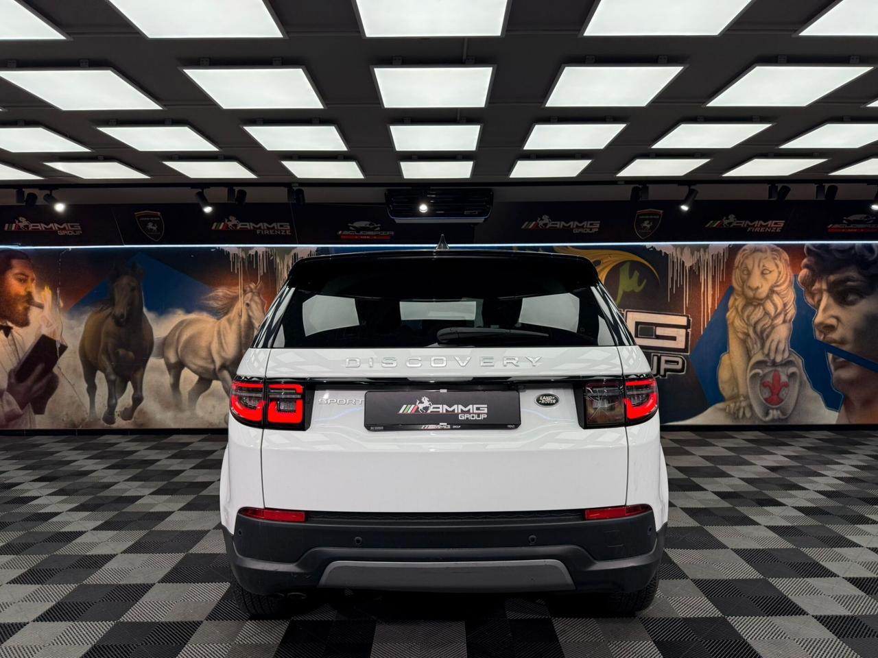 Land Rover Discovery Sport 2.0 TD4 163 CV AWD Auto R-Dynamic HSE (528)