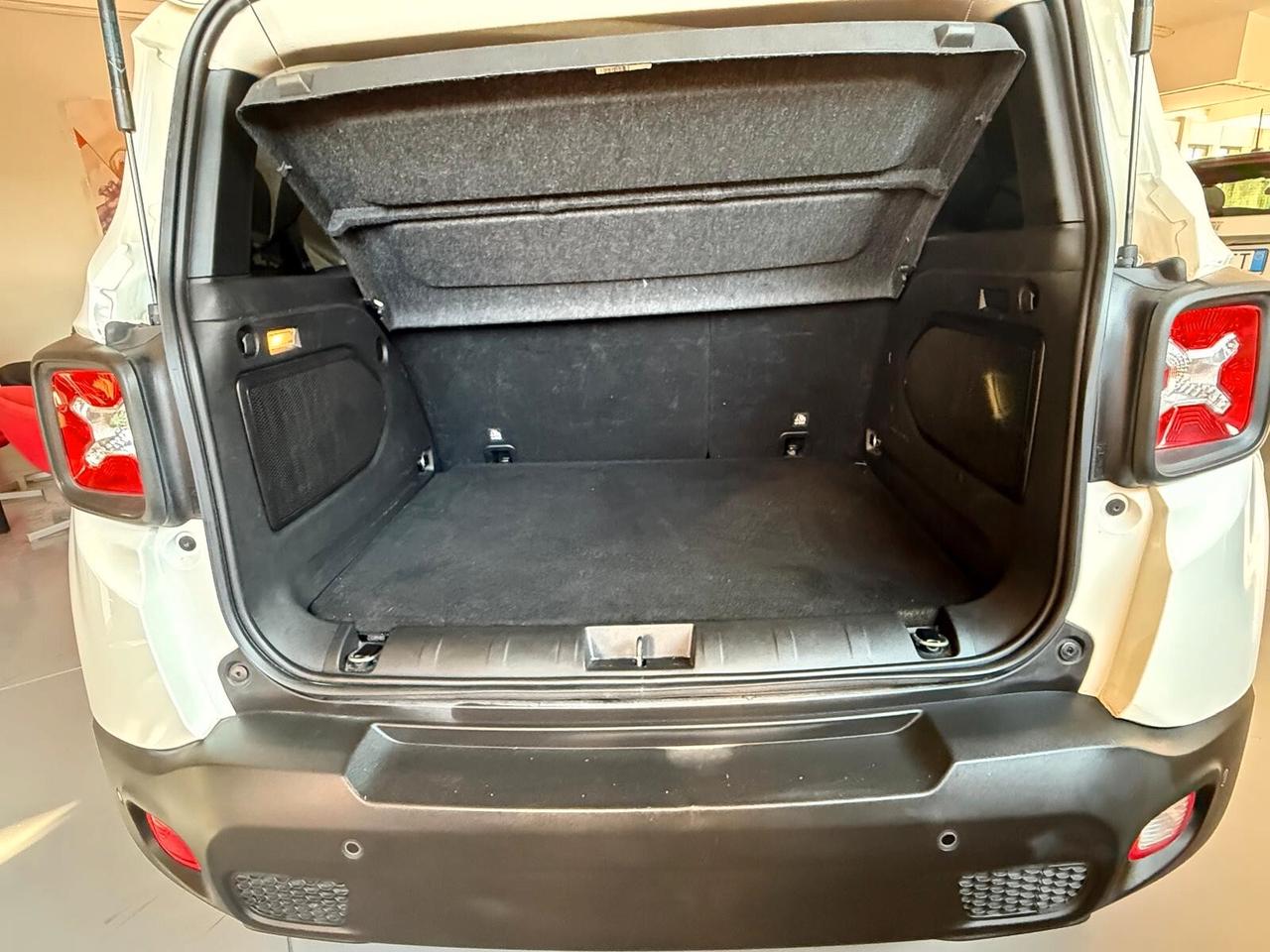 Jeep Renegade 1.6 Mjt 120 CV Longitude