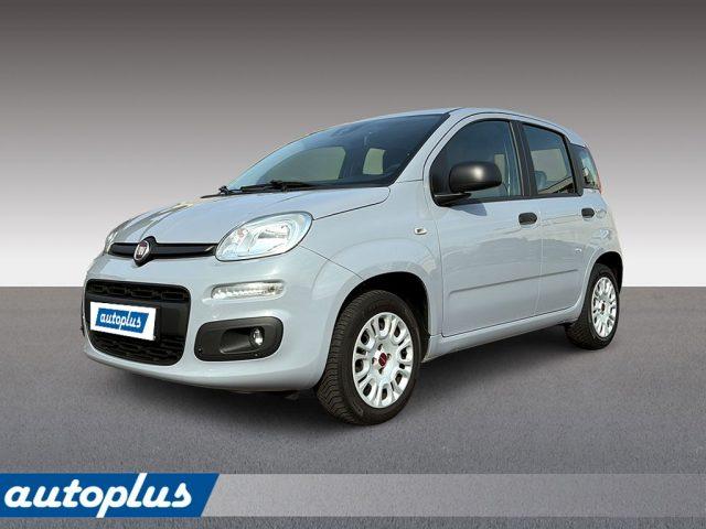 FIAT Panda 1,2 8V Easy