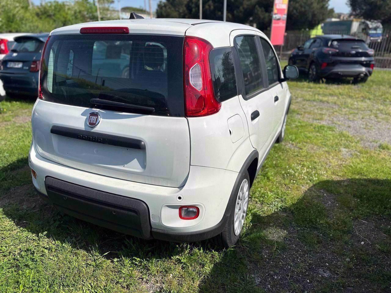FIAT Pandina III 2024 - Pandina 1.0 firefly hybrid Icon s&s 65cv
