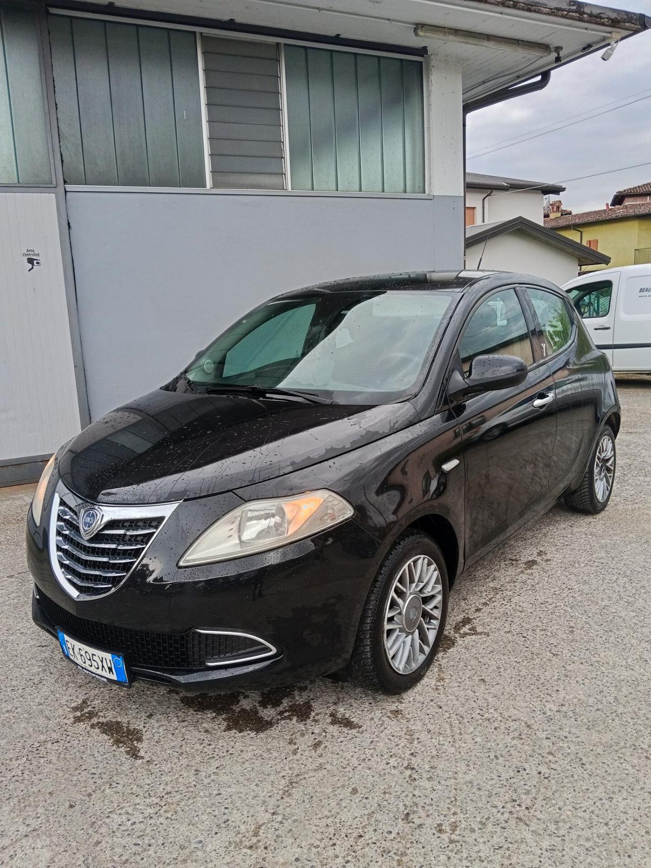 Lancia Ypsilon 1.3 MJT 16V 95 CV 5 porte S&S Platinum