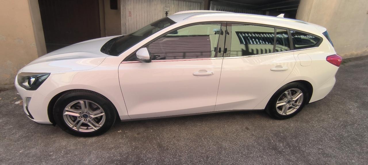 Ford Focus 1.5 EcoBlue 120 CV automatico SW Business Co-Pilot