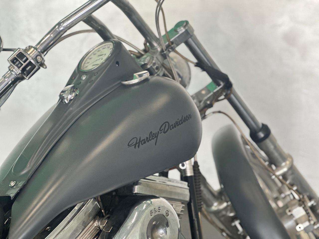 Altro Altro Titan Coyote - Harley Davidson Softail