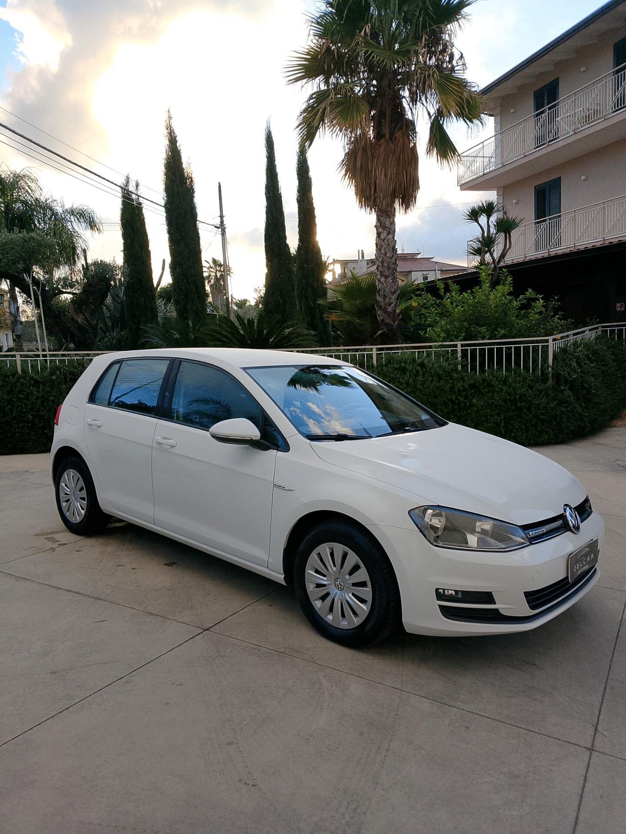 Volkswagen Golf Business 1.4 TGI 5p. Highline BlueMotion