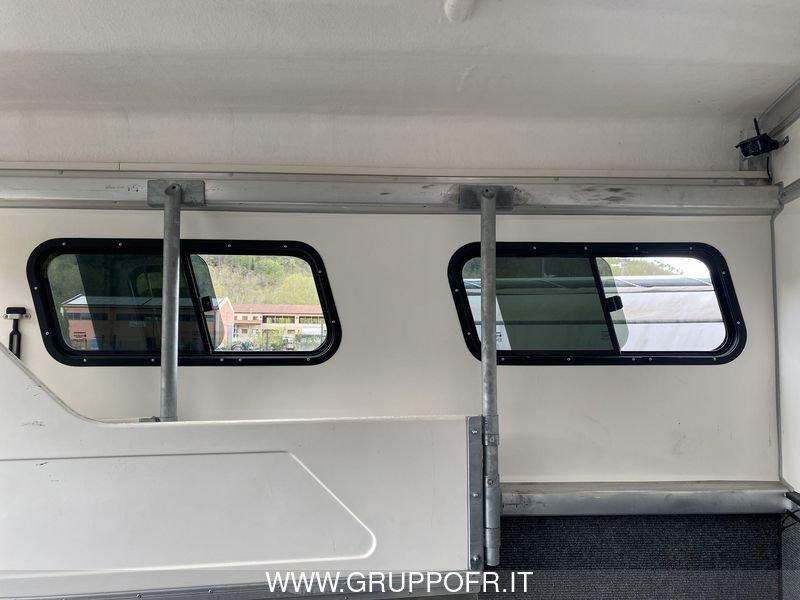 Trailer Steinsberger Steinsberger TRASPORTO CAVALLI