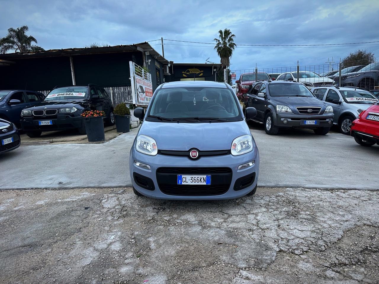 Fiat Panda 1.0 FireFly S&S Hybrid Launch Edition