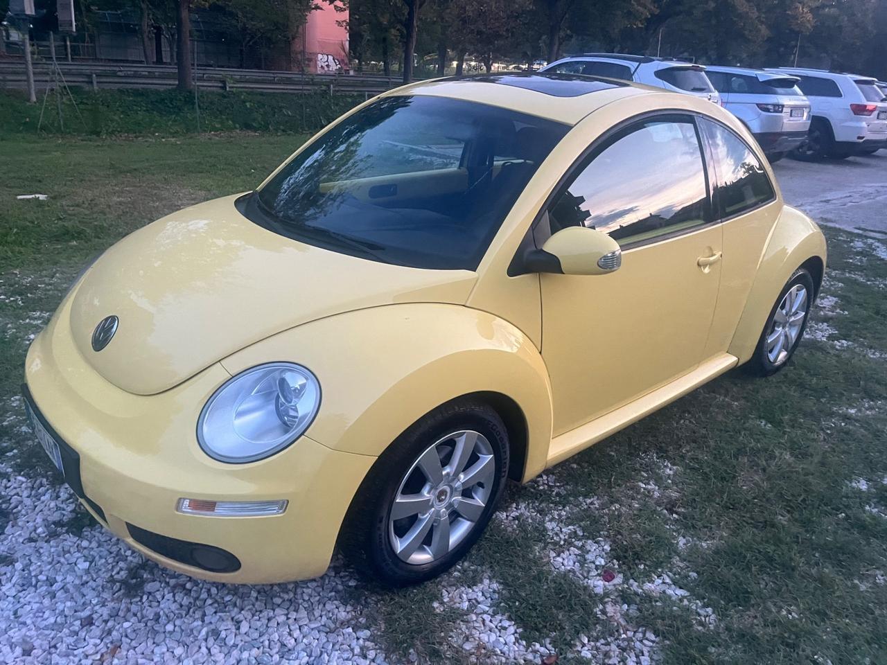 Volkswagen New Beetle 1.9 TDI 105CV