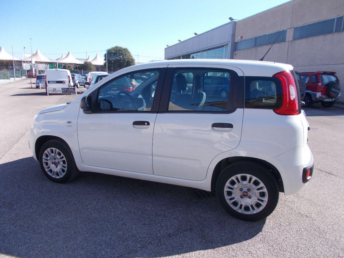 FIAT - Panda - 1.2 Easy