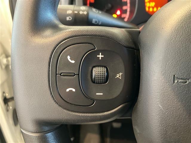 FIAT Panda Cross 1.0 FireFly Hybrid 70cv S&S 5p.ti